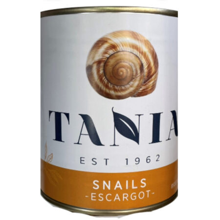 Snail 1 (1)